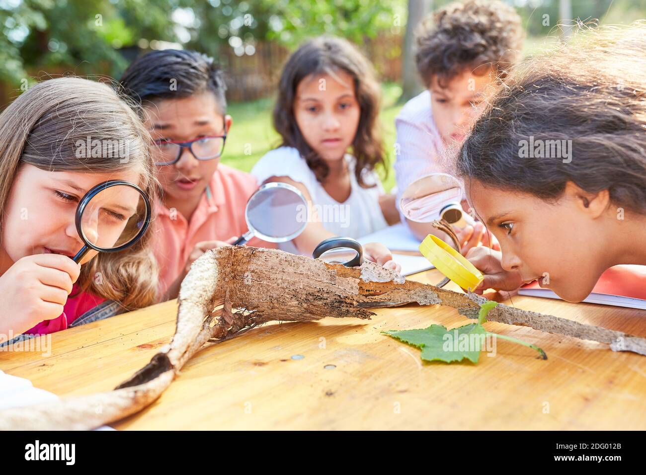 Gruppe von Kindern schaut durch die Lupe auf Baumrinde Glas im Naturschutzprojekt Stockfoto