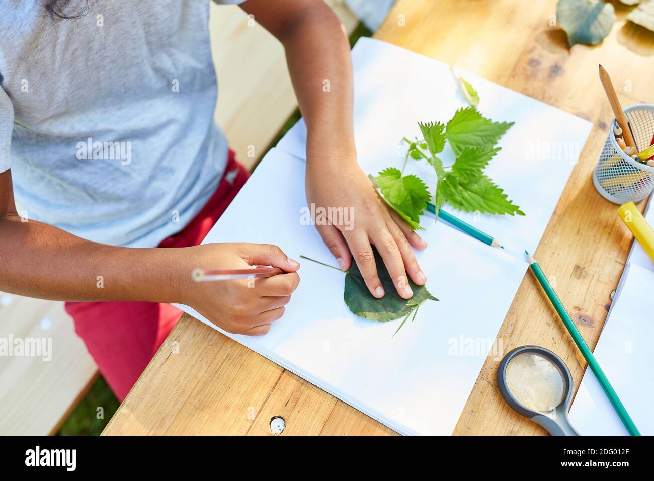 Kinder malen Pflanzen und basteln in der kreativen Biologie Ferienkurs im Sommercamp Stockfoto