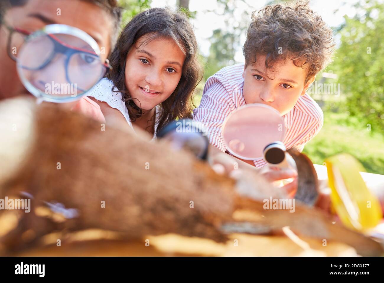 Kinder schauen die Baumrinde mit Neugier durch eine an Vergrößerungsglas im Biologieurlaub Kurs Stockfoto