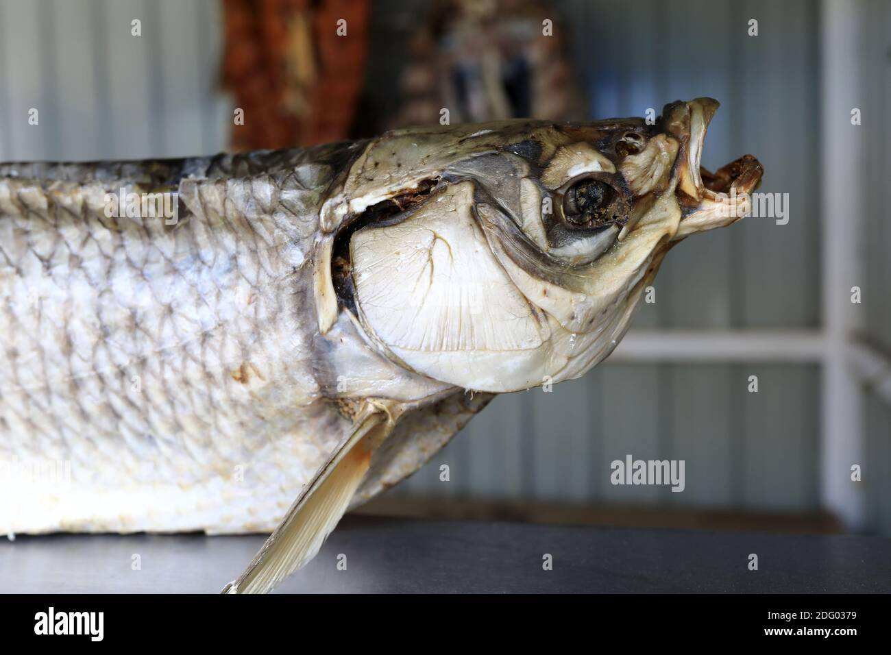 Blick auf getrockneten Spangenfisch auf dem Markt Stockfoto