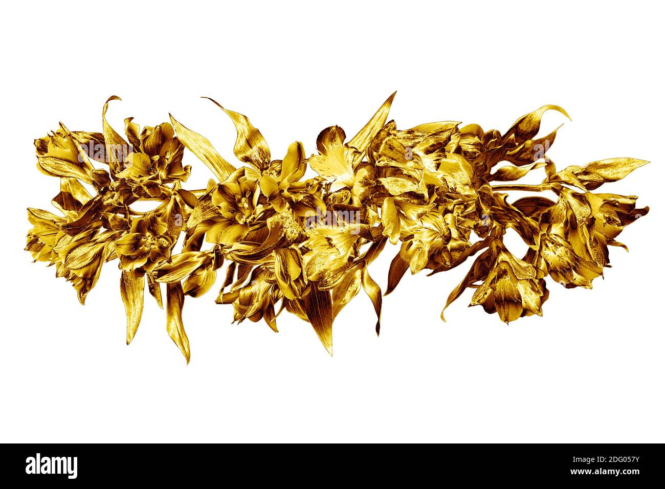 Goldene Blumen Blumenstrauß weißen Hintergrund isoliert Nahaufnahme, Gold  Lilie Blumenstrauß, glänzend gelbe Metallblätter, Blumenzweig, dekorative  Grenze, Muster Stockfotografie - Alamy