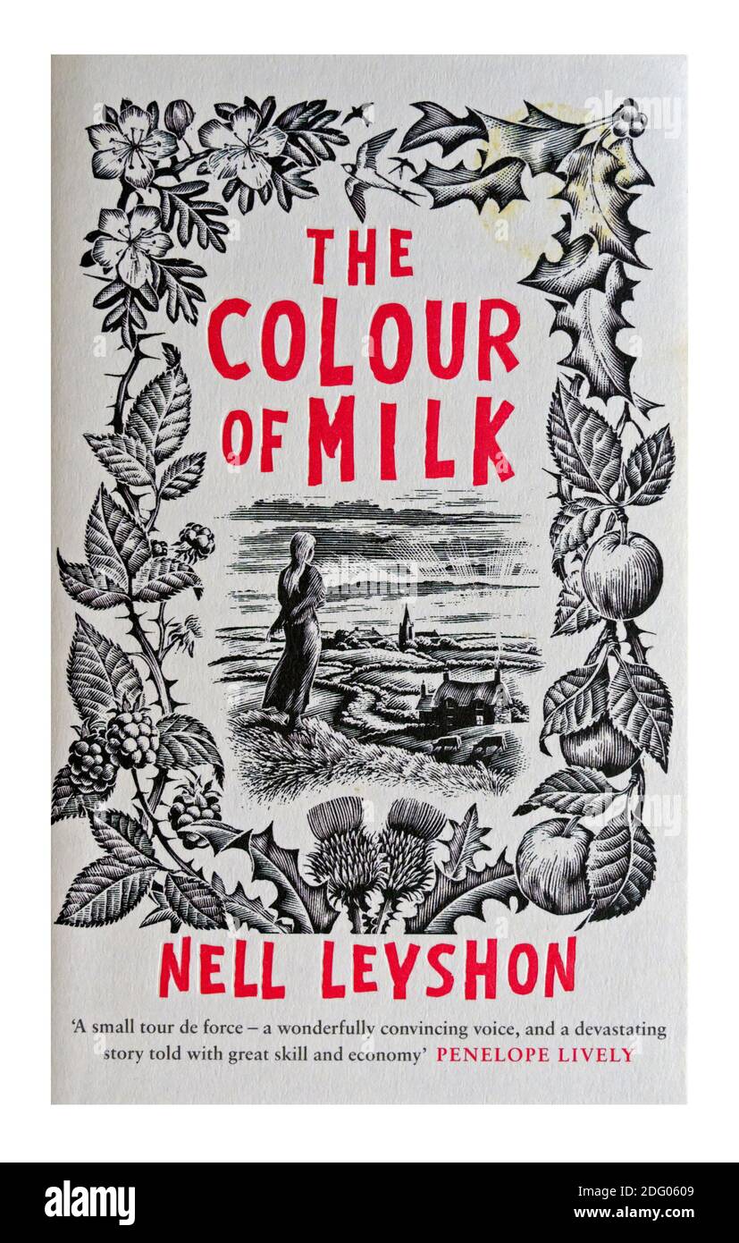 Buchcover 'die Farbe der Milch' von Nell Leyshon. Stockfoto