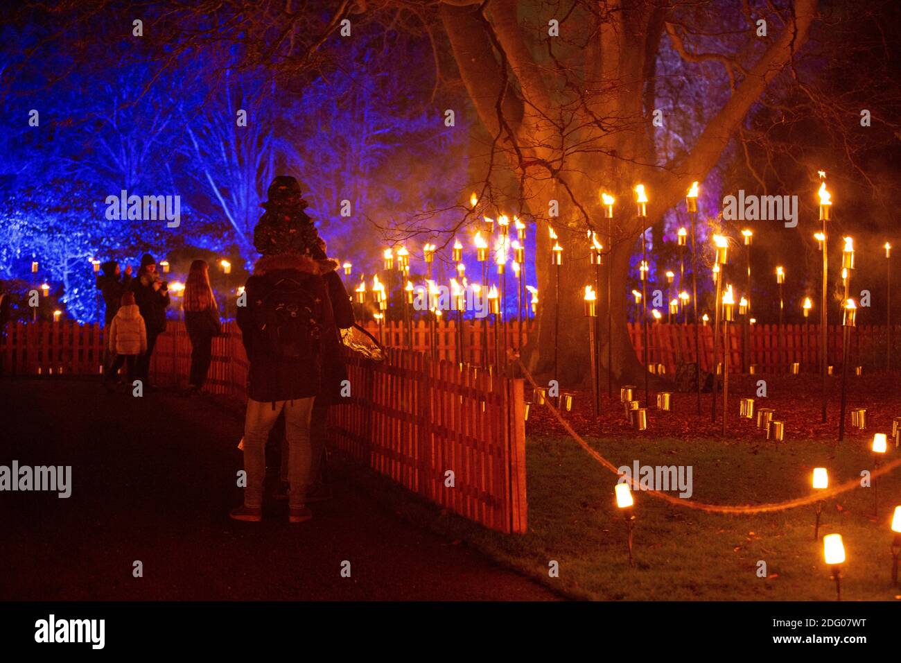 Edinburgh, Schottland. Dezember 2020. Pressegespräch Weihnachtslicht im Botanischen Garten von Edinburgh. Der Botanische Garten von Edinburgh zeigt das Licht an Stockfoto