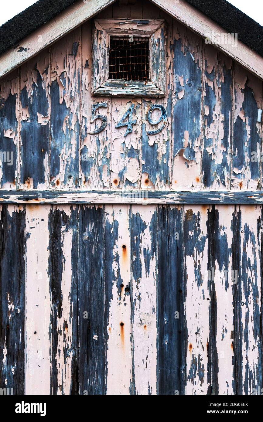 Verfall und Peeling Paint auf einer Strandhütte in Thorpe Bucht an einem kalten und misty Dezembermorgen Stockfoto