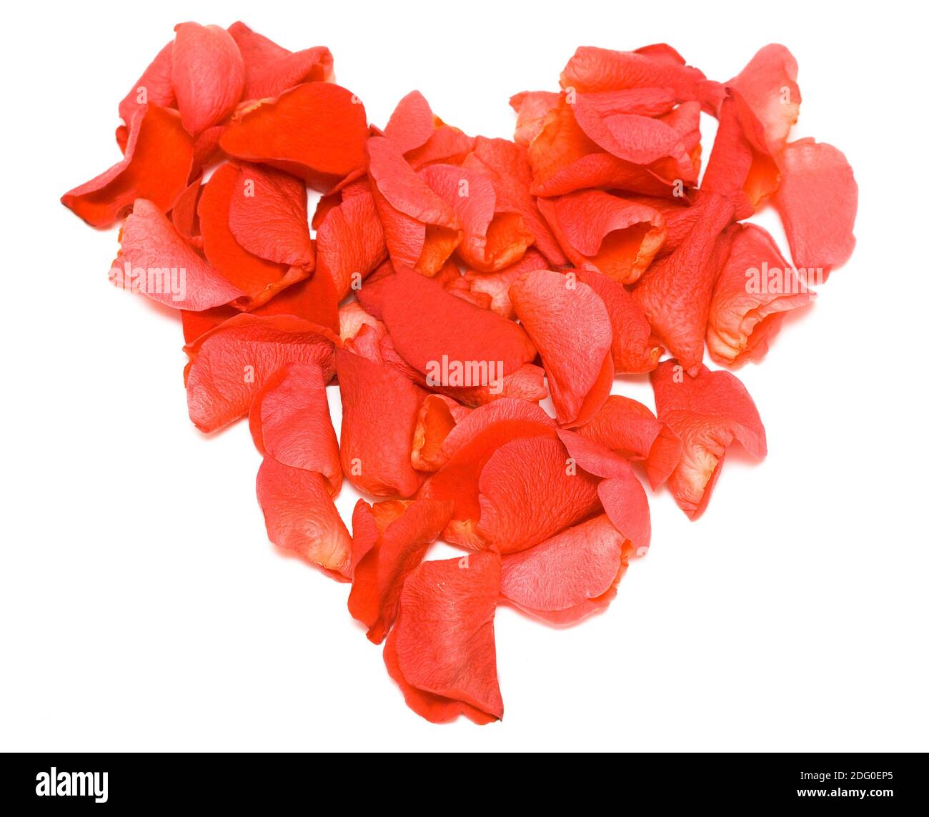 Herz aus den Blütenblättern der Rosen Stockfoto