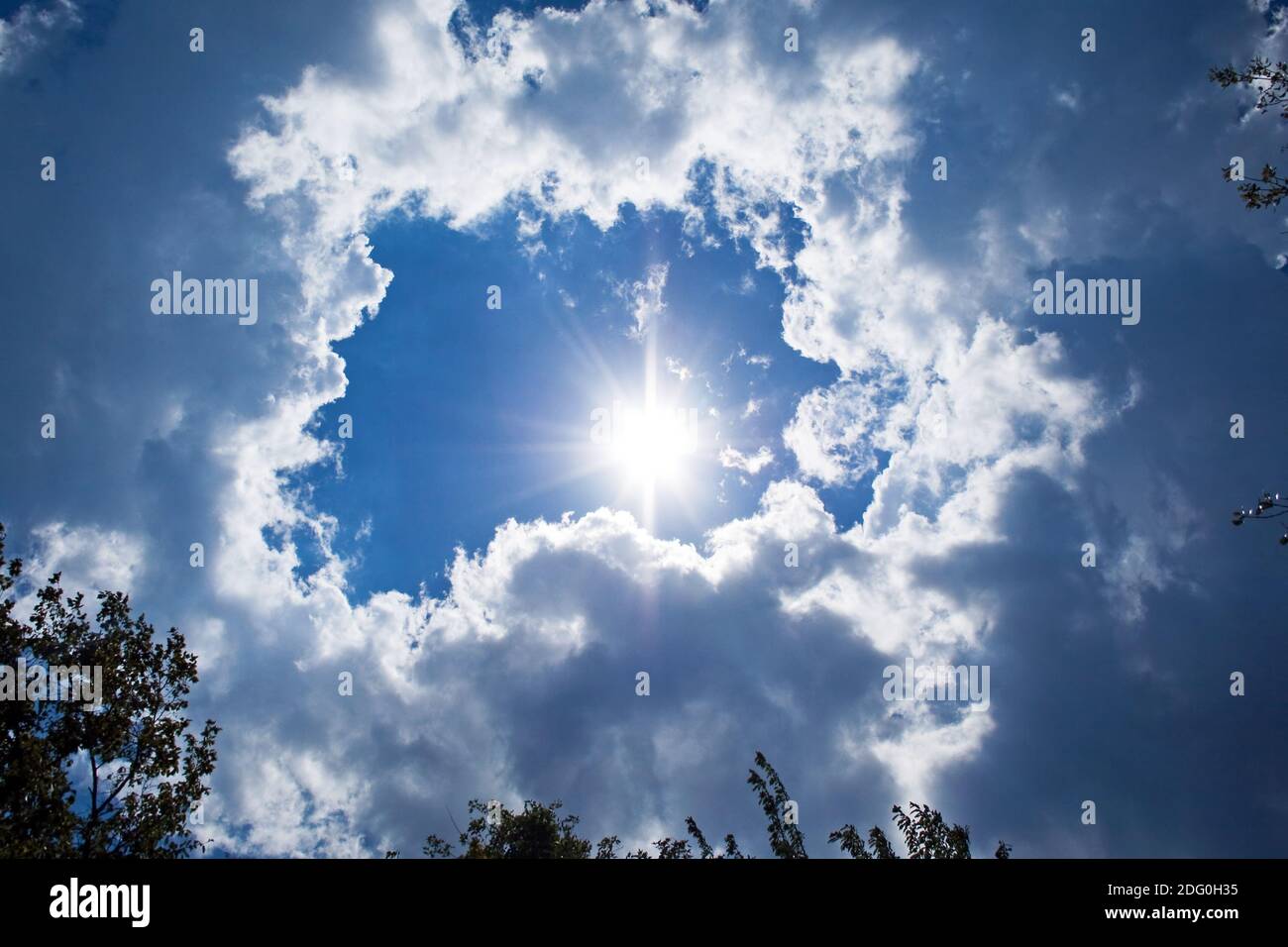 Himmel Hintergrund. Sonne, Wolken und Bäume Hintergrund Stockfoto