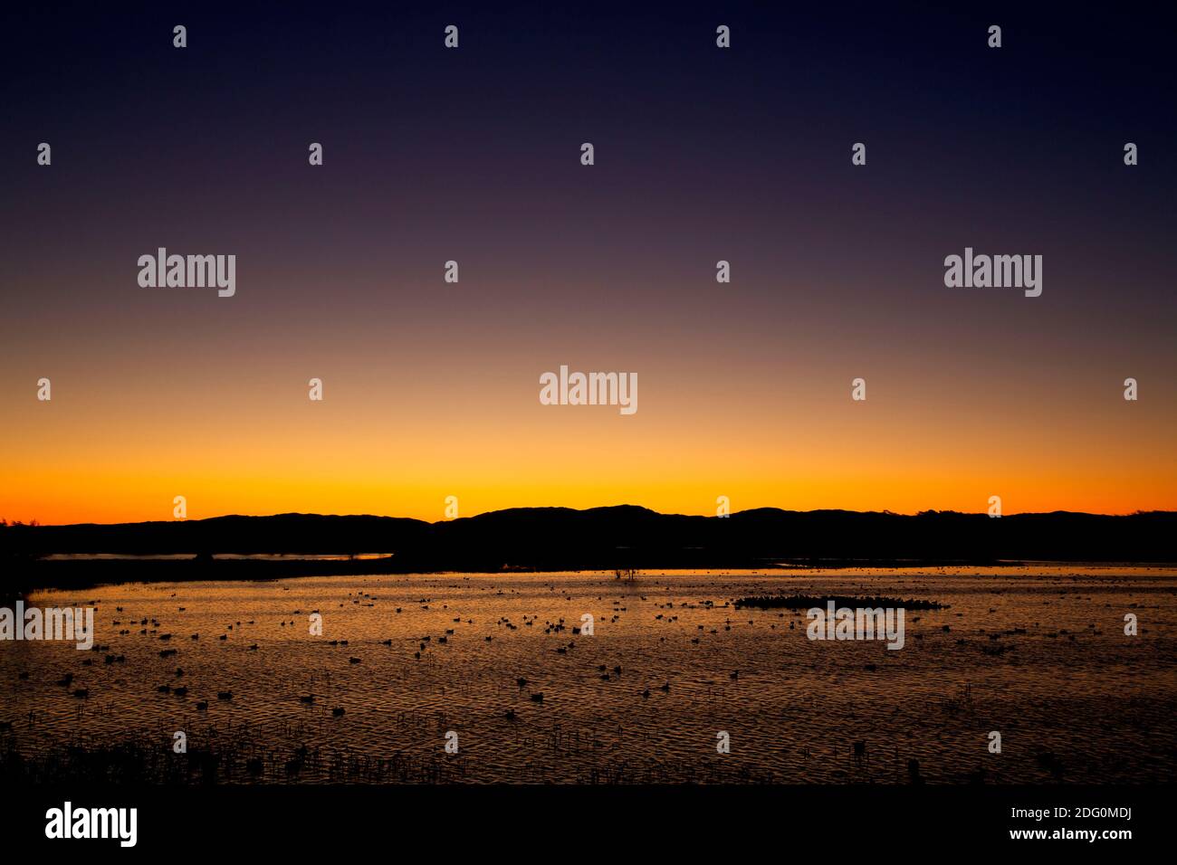 Feuchtgebiet Sonnenuntergang, North Central Valley Wildlife Management Area, Llano Seco Unit, Kalifornien Stockfoto