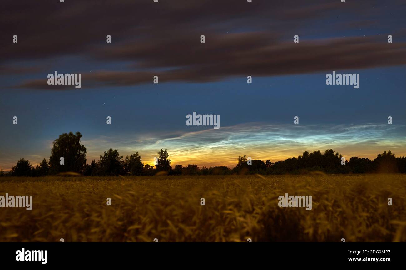 In der Nacht sind silbrige Wolken über den Getreidefeldern Stockfoto