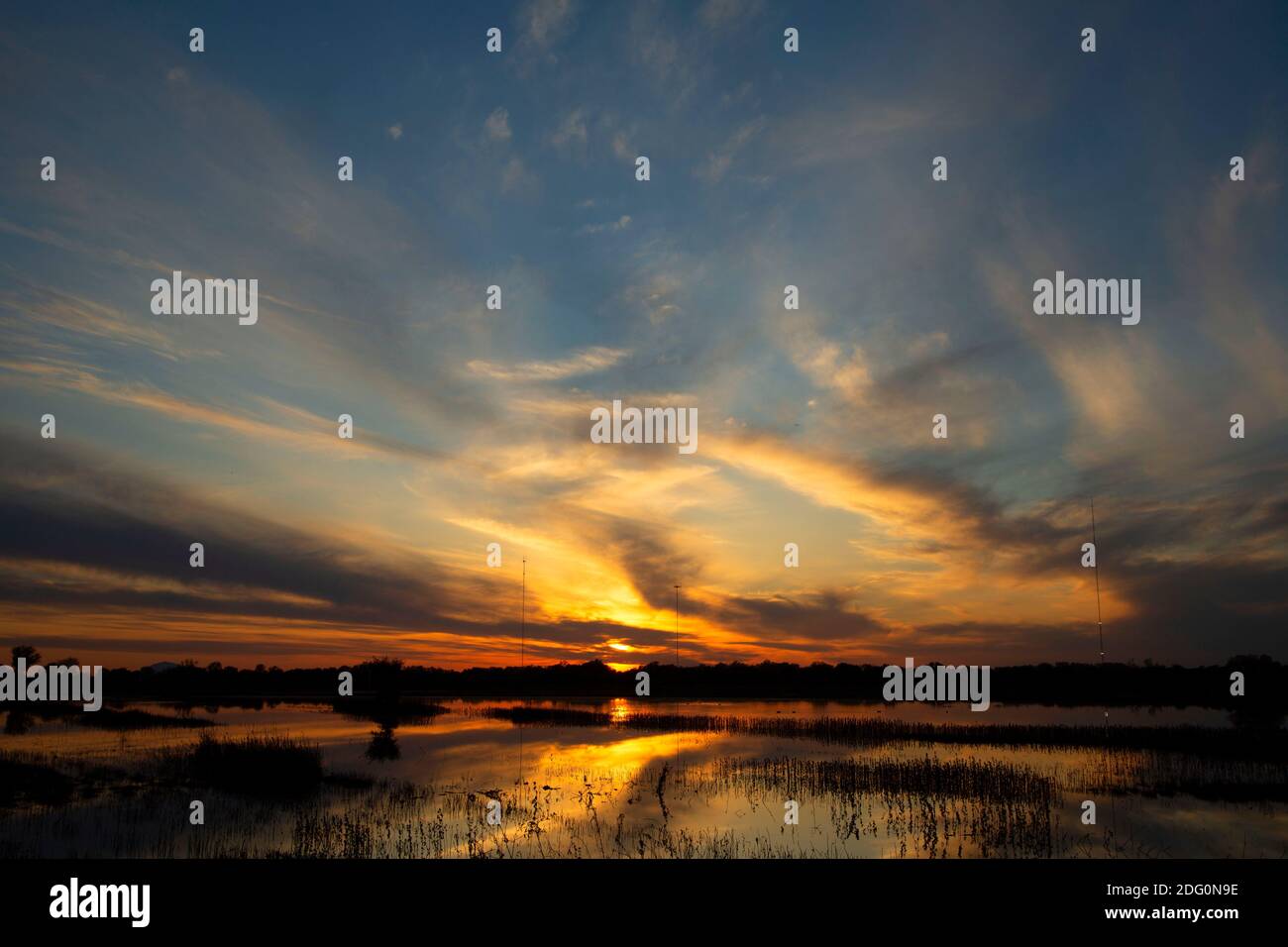 Wetland Sonnenuntergang von Wetlands Walk, Cosumnes River Preserve, Kalifornien Stockfoto