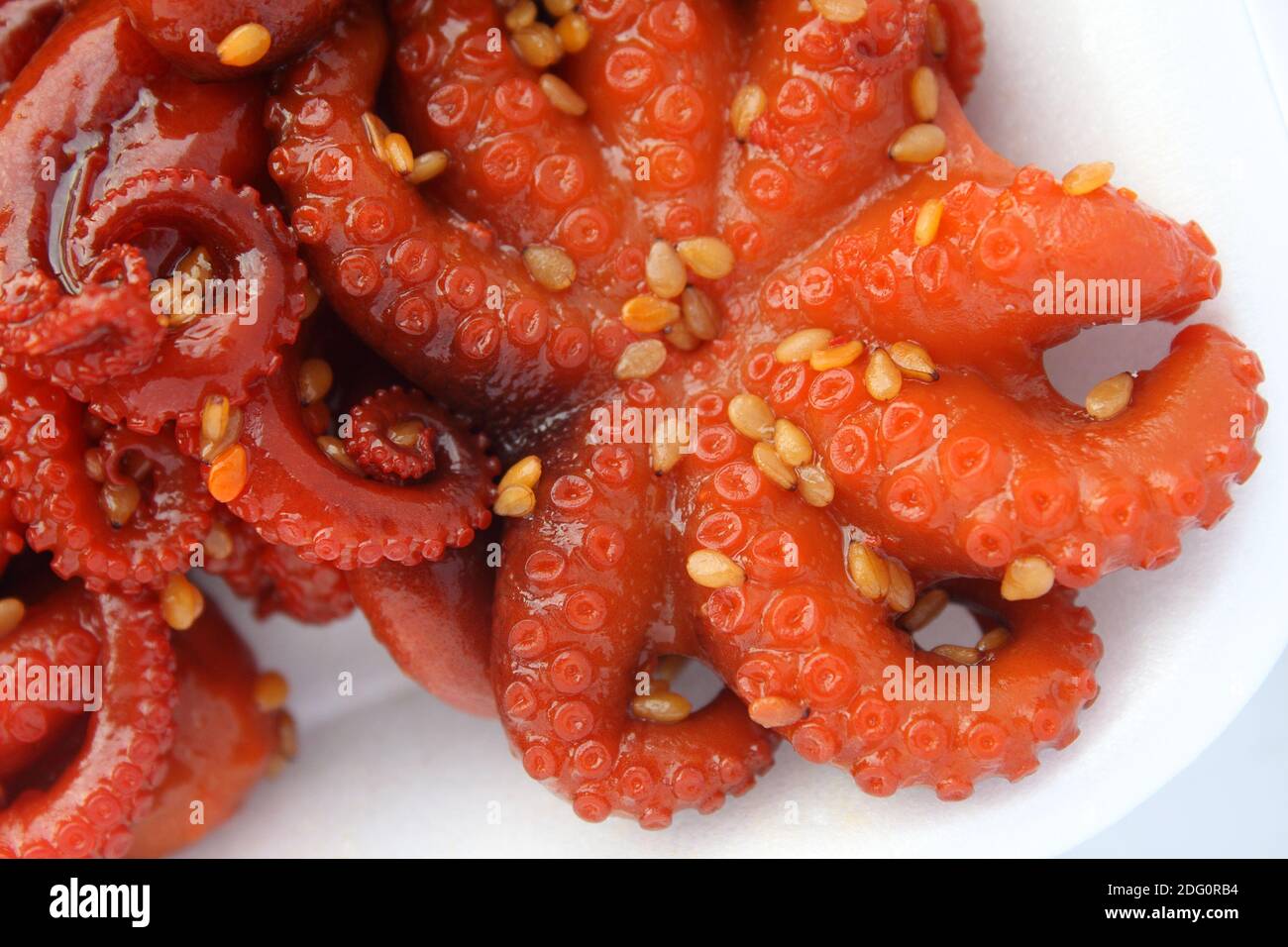 Marinierte Babykrake mit Sesamsamen Stockfoto