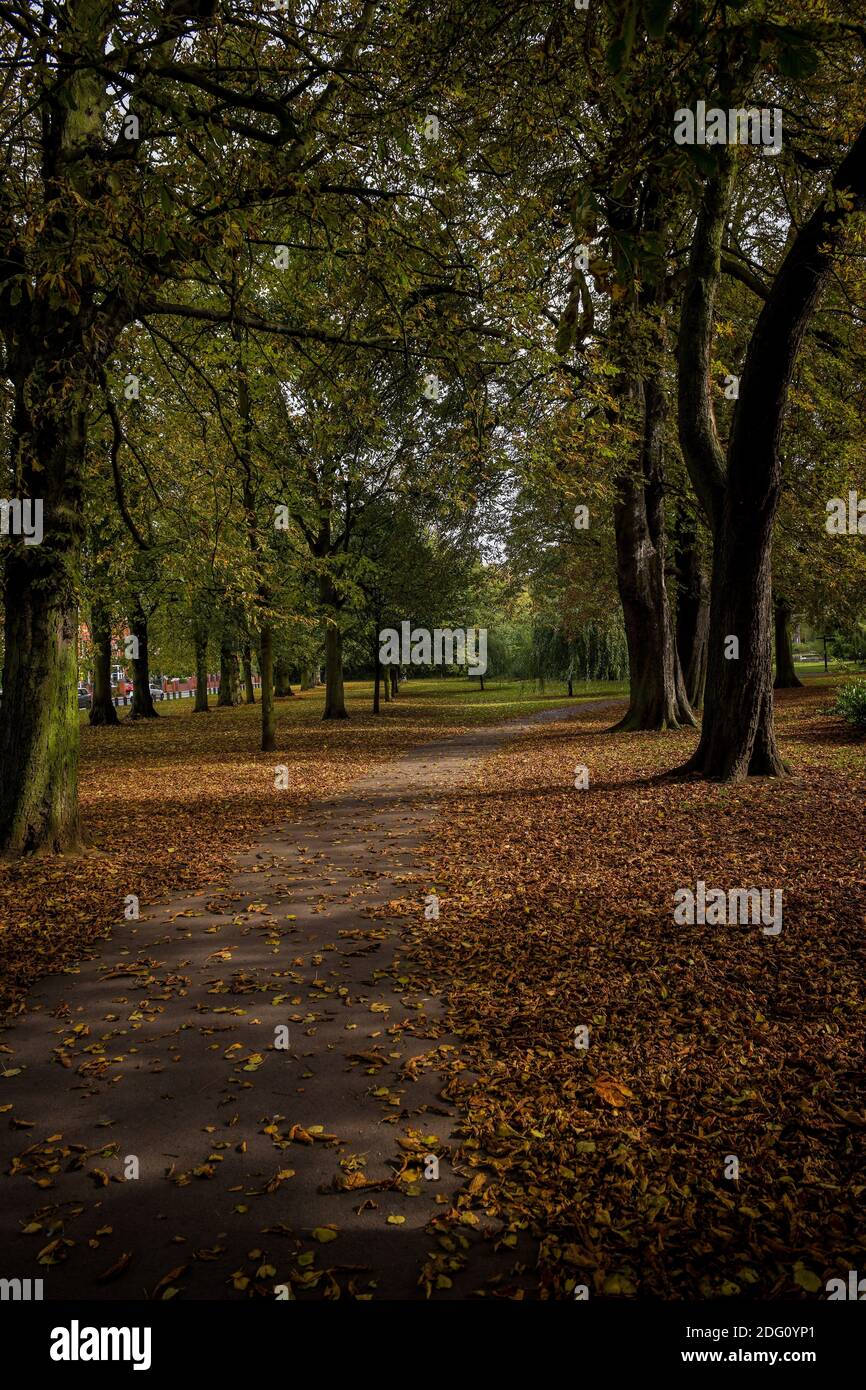 Herbst 2020 rund um North East Lincolnshire.People's Park Stockfoto
