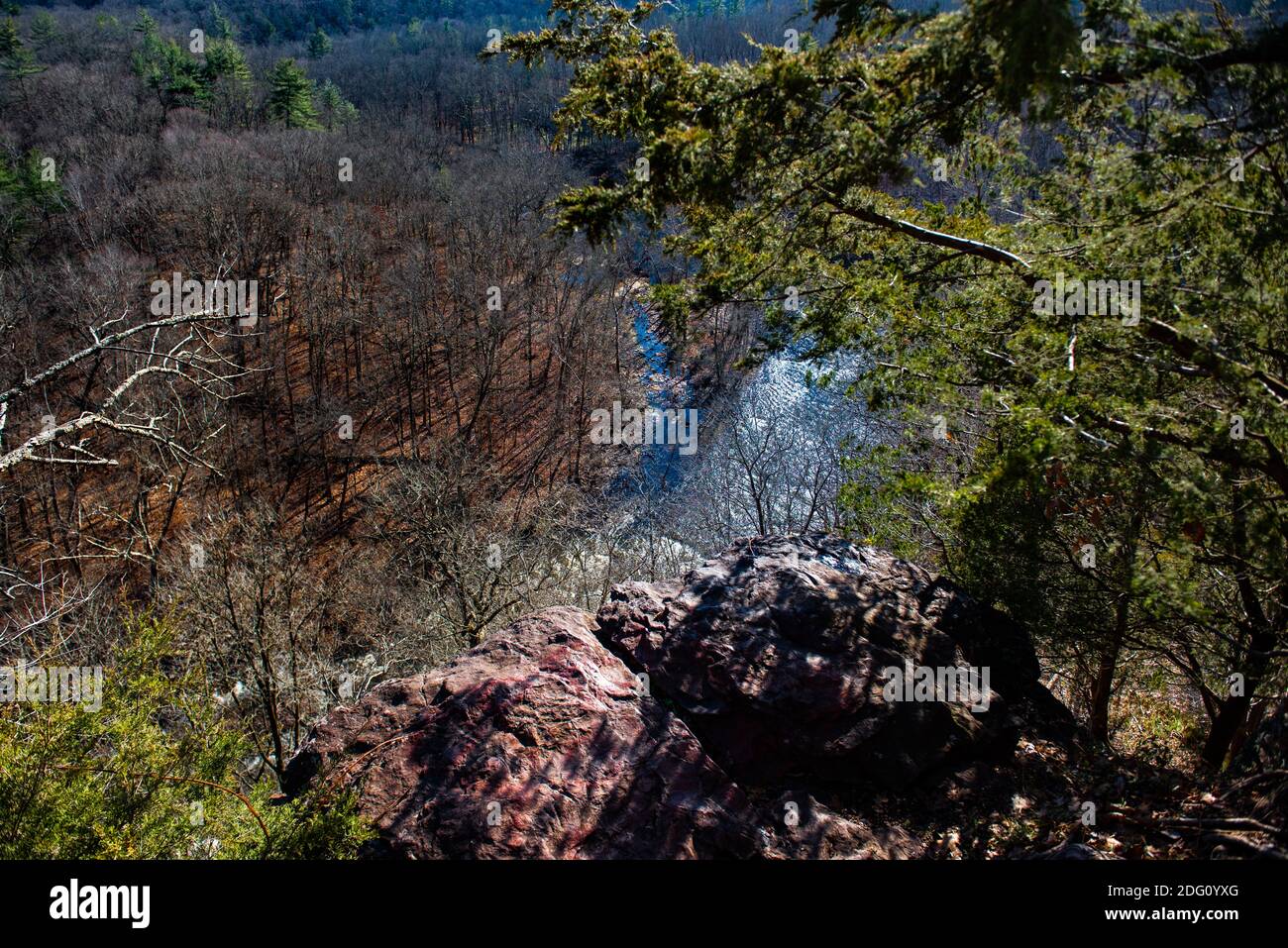 High Rocks State Park, Pennsylvania, USA. Ein hoch abgewinkelter Blick auf den Tohickon Creek zwischen einem felsigen Ausbiss und Pinien von Chris Baker Evens. Dezember 0 Stockfoto
