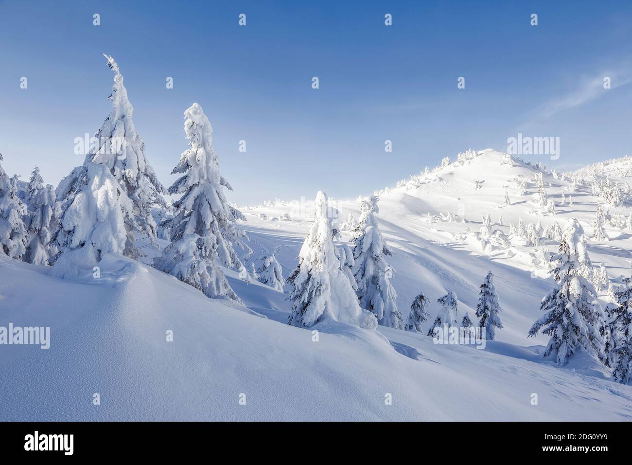 Winterlandschaft in den sonnigen Tag. Berglandschaften. Bäume mit weißem Schnee bedeckt. Stockfoto