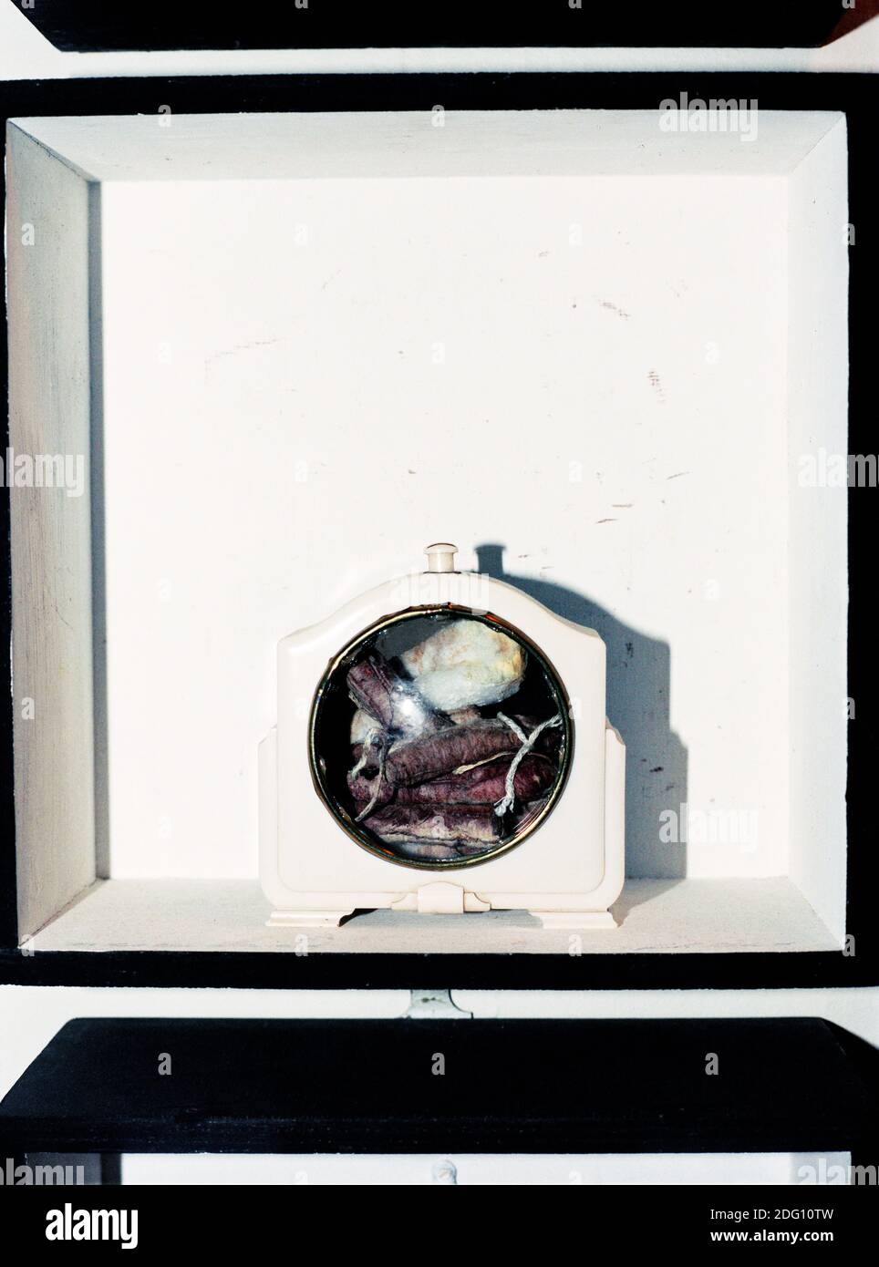 Artwork "IT’s That Time of the Month" (aus Tampax Romana), 1975, von Genesis Breyer P-Orridge. Fotografiert in ihrem Zuhause in Queens, New York. 23. Oktober 2002. Stockfoto