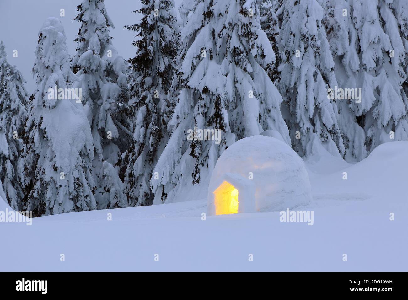 Nacht Winter Berglandschaften. Iglu steht auf dem verschneiten Rasen. Haus mit Licht. Lage Ort der Karpaten, Ukraine, Europa. Stockfoto