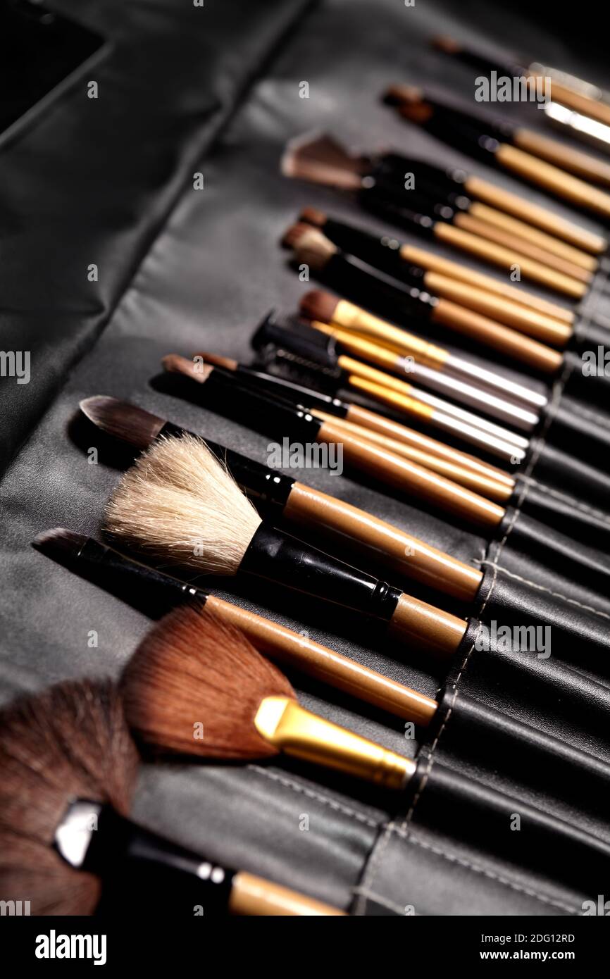 Set Make-up Pinsel in schwarzer Make-up Tasche. Beauty-Tools für professionelle Visage. Bürsten für maskara, Lidschatten, Foundation, Lippenstift, Rouge und Fac Stockfoto