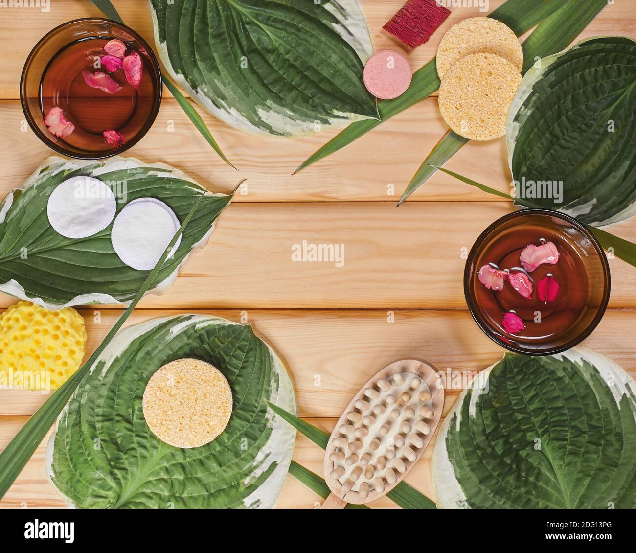 Schöne Spa Flat Lay mit Gesicht und Körperpflege Kosmetik. Saftige Blätter und Holz Hintergrund mit Copy Space. Draufsicht Stillleben Konzept Stockfoto