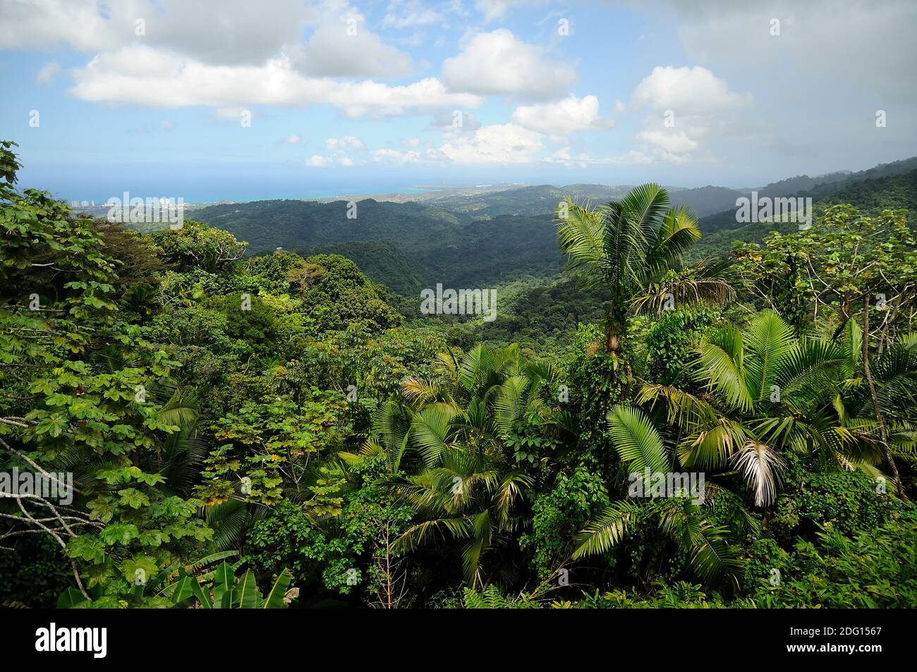 El Yunque Stockfoto