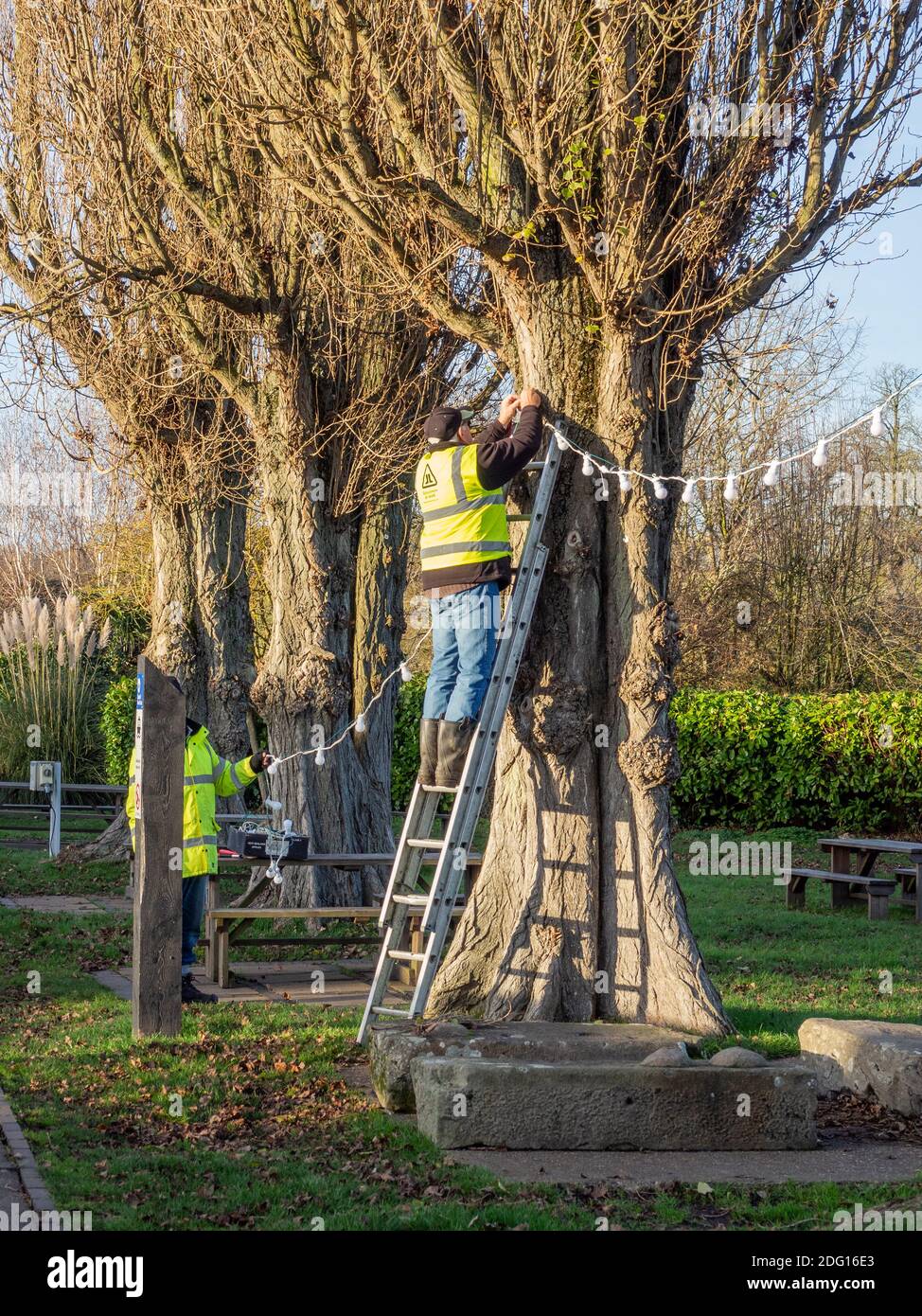 Freiwillige für den Canal & River Trust, der Weihnachtsbeleuchtung in Stoke Bruerne, Northamptonshire, Großbritannien, aufstellt Stockfoto