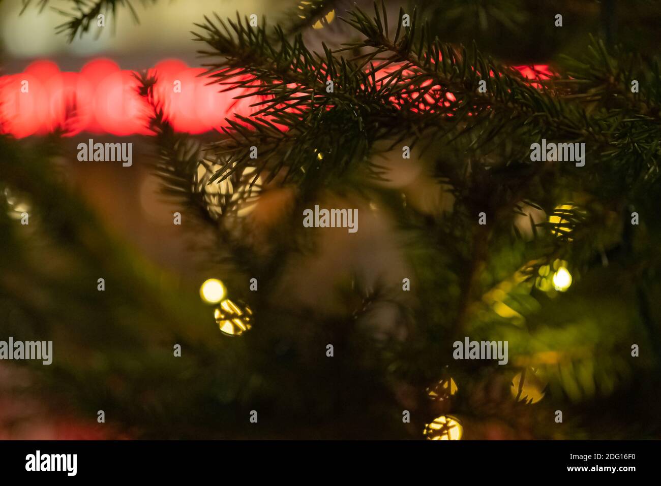 Weihnachtsbeleuchtung Baum Garten Stockfotos Und Bilder Kaufen Alamy