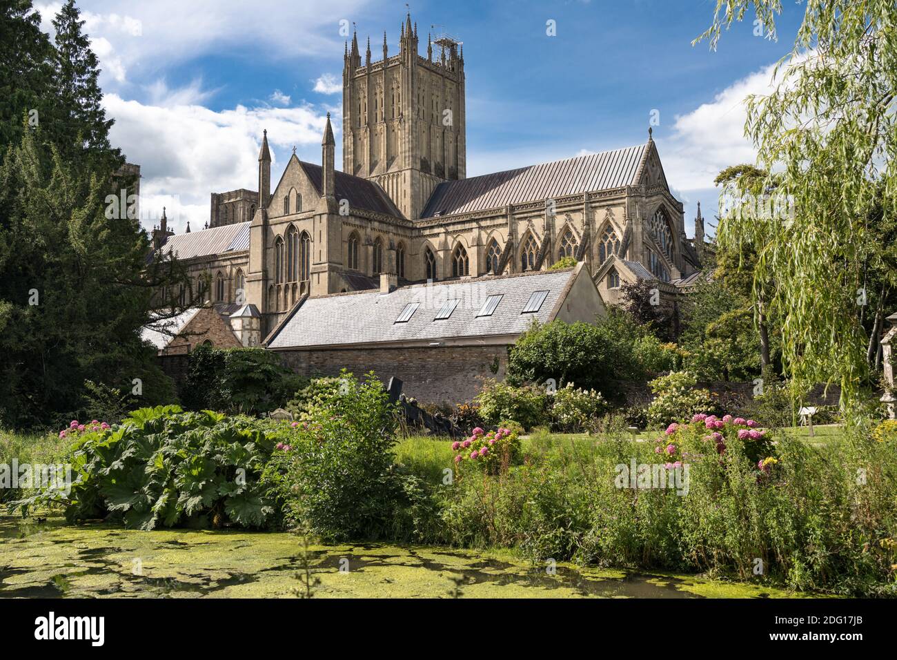 Blick auf die Kathedrale von Wells für den Bischofgarten Stockfoto