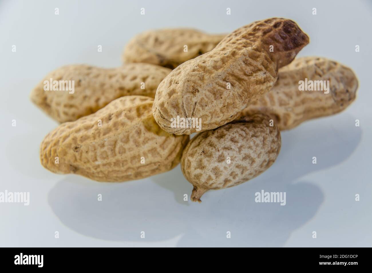 Erdnüsse, auch Erdnüsse genannt, an Bord in Muscheln Stockfoto