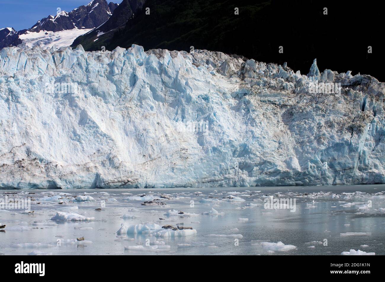 Glacier Bay Nationalpark Stockfoto