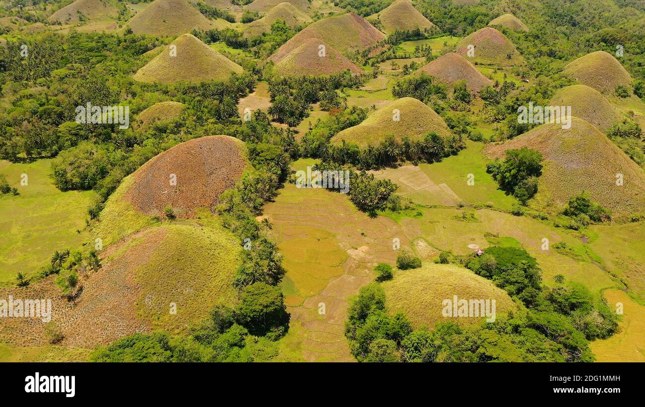 Luftaufnahme der Chocolate Hills in Bohol Island, Philippinen. Hügel mit Gras und Vegetation bedeckt. Stockfoto