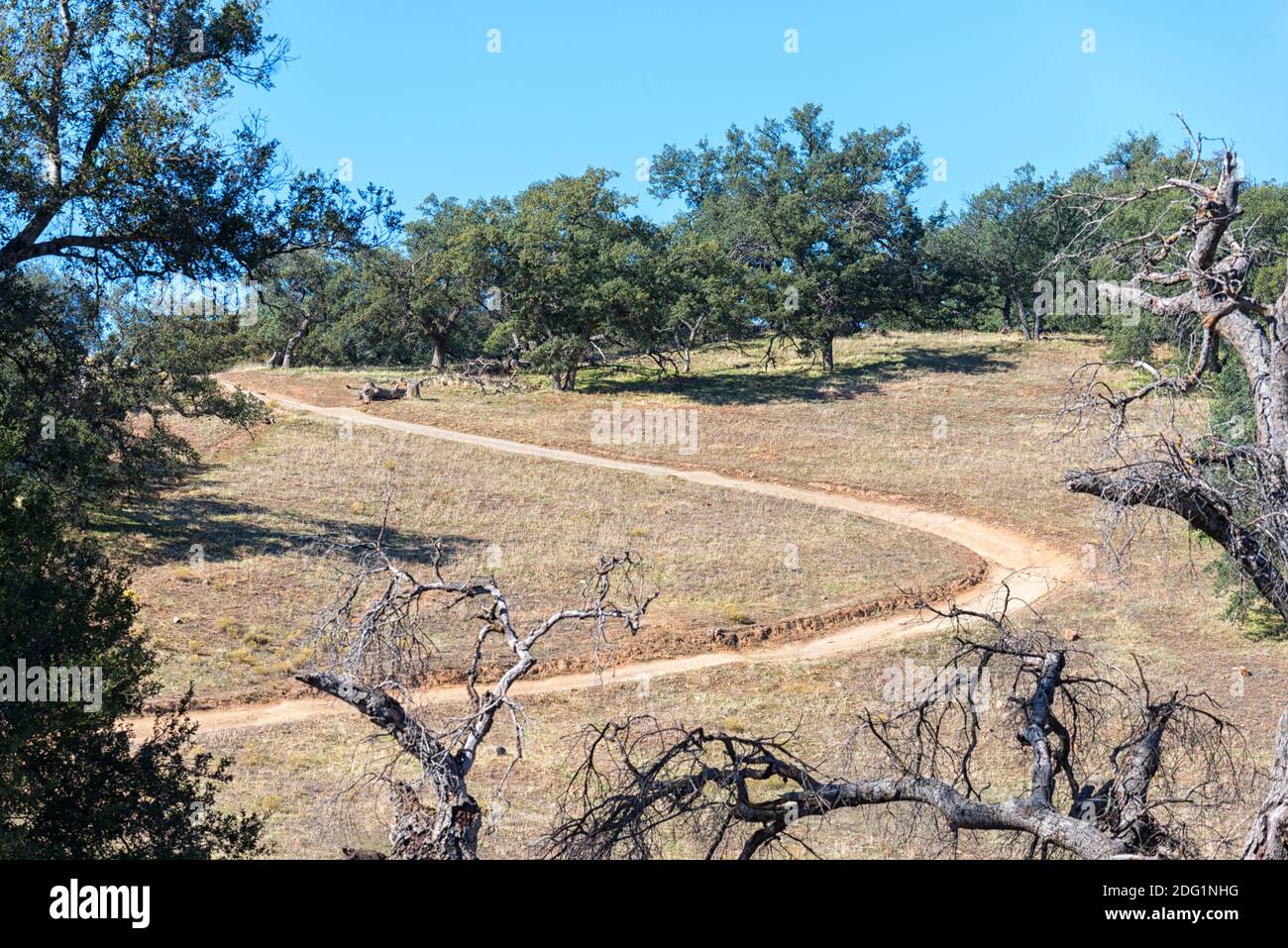 Santa Ysabel Open Space Preserve West. Ramona, CA, USA. Fotografiert im Monat November auf dem Lower Creek Trail. Stockfoto