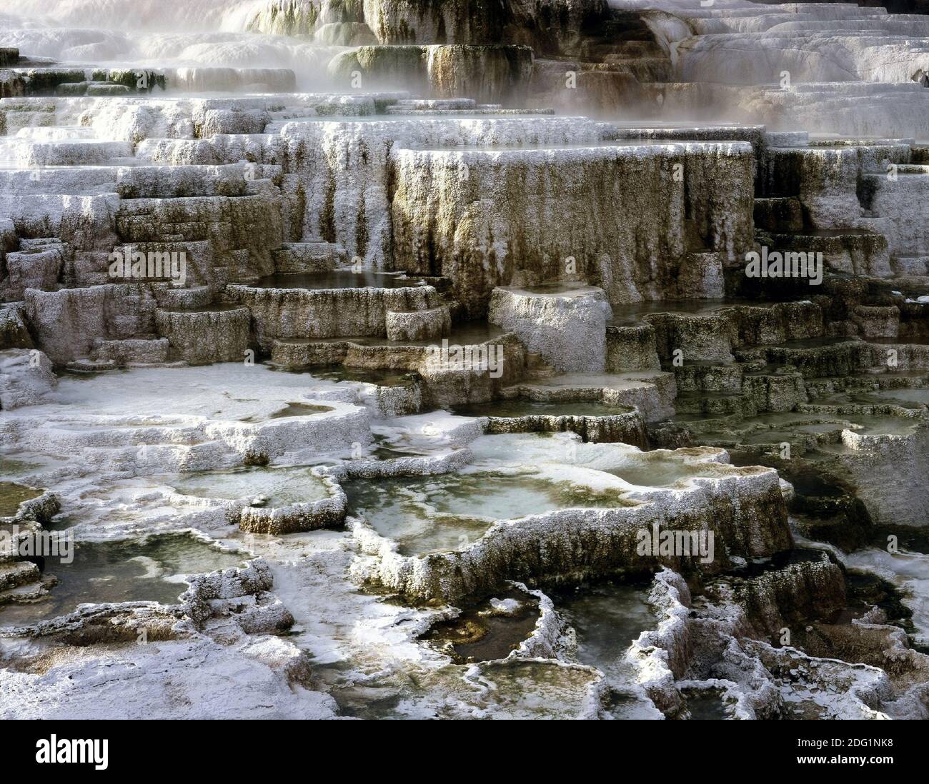 Minerva Terrasse Stockfoto