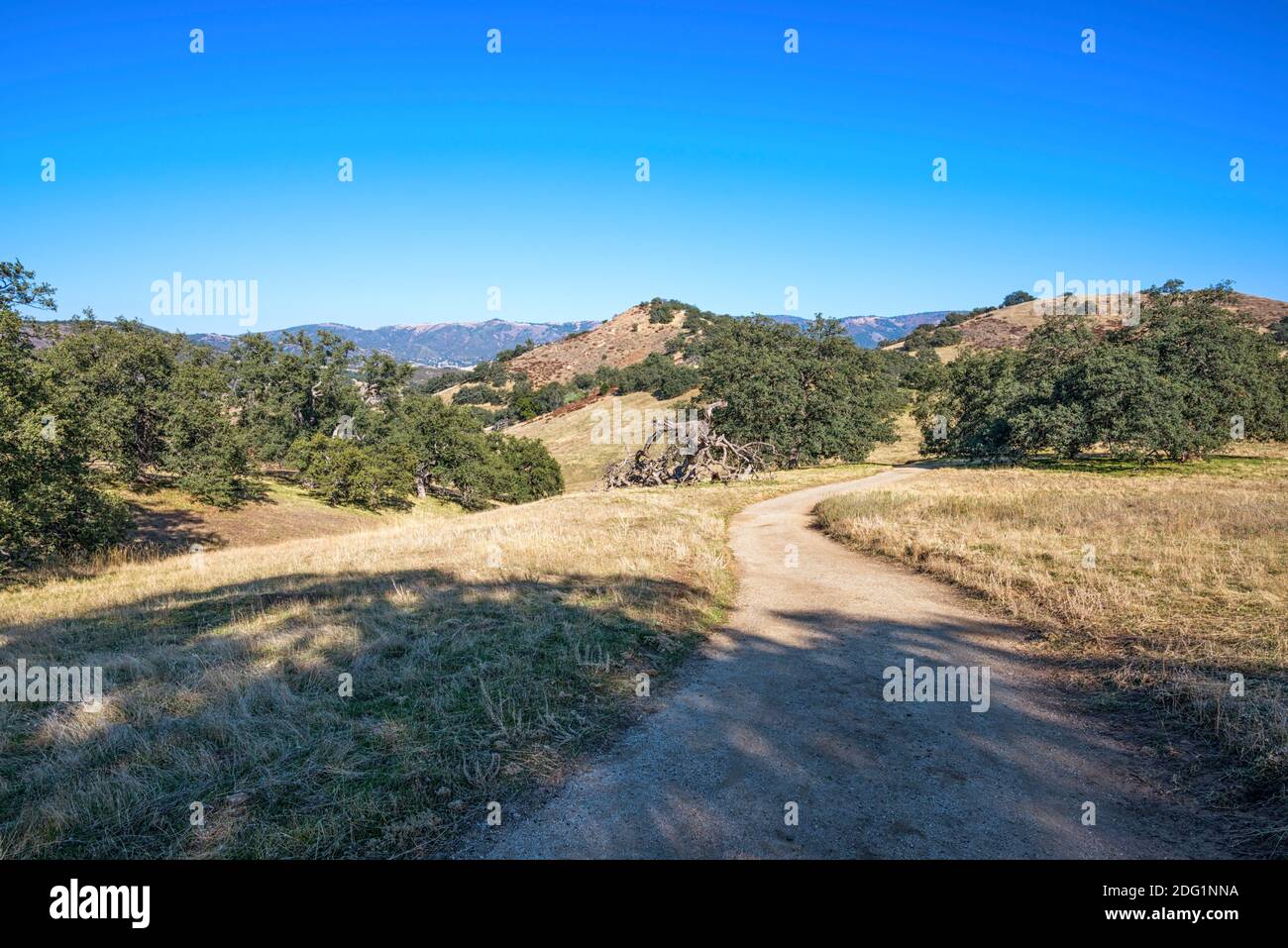 Santa Ysabel Open Space Preserve West. Ramona, CA, USA. Fotografiert im Monat November auf dem Lower Creek Trail. Stockfoto