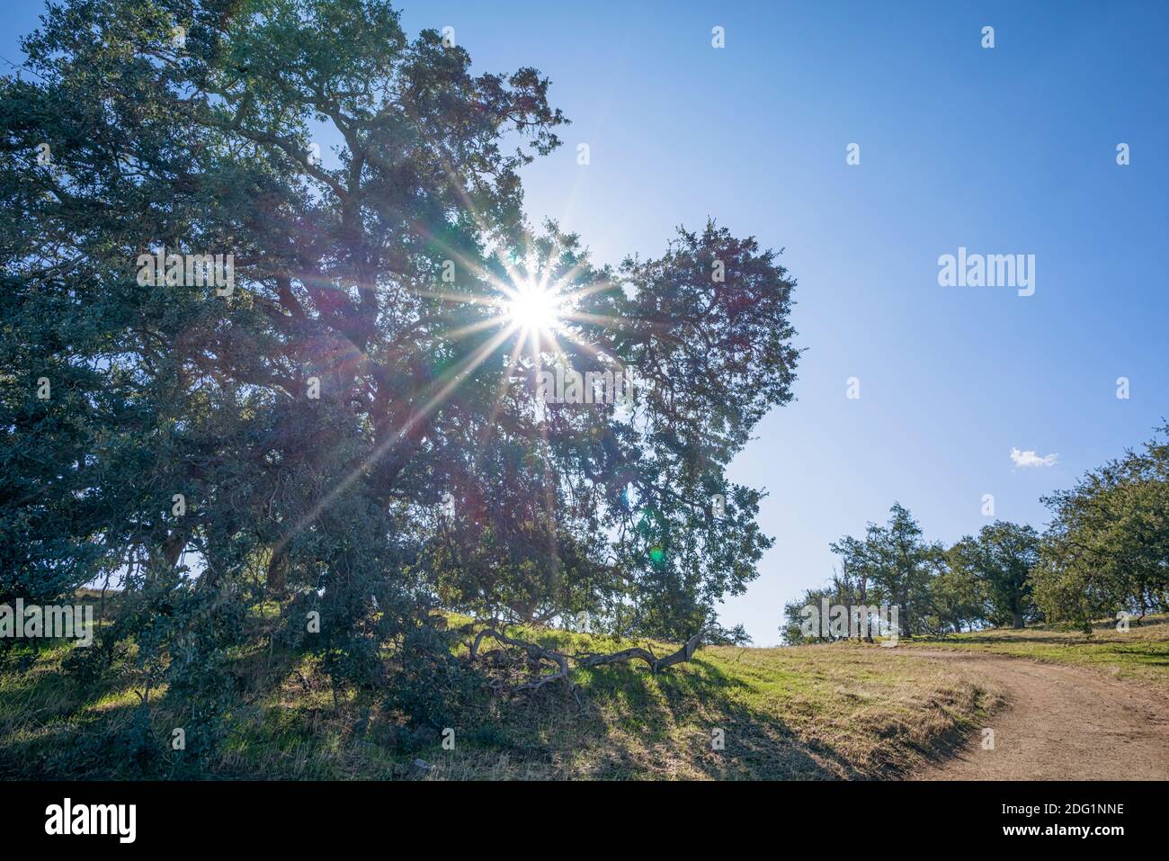 Santa Ysabel Open Space Preserve West. Ramona, CA, USA. Fotografiert im Monat November. Stockfoto