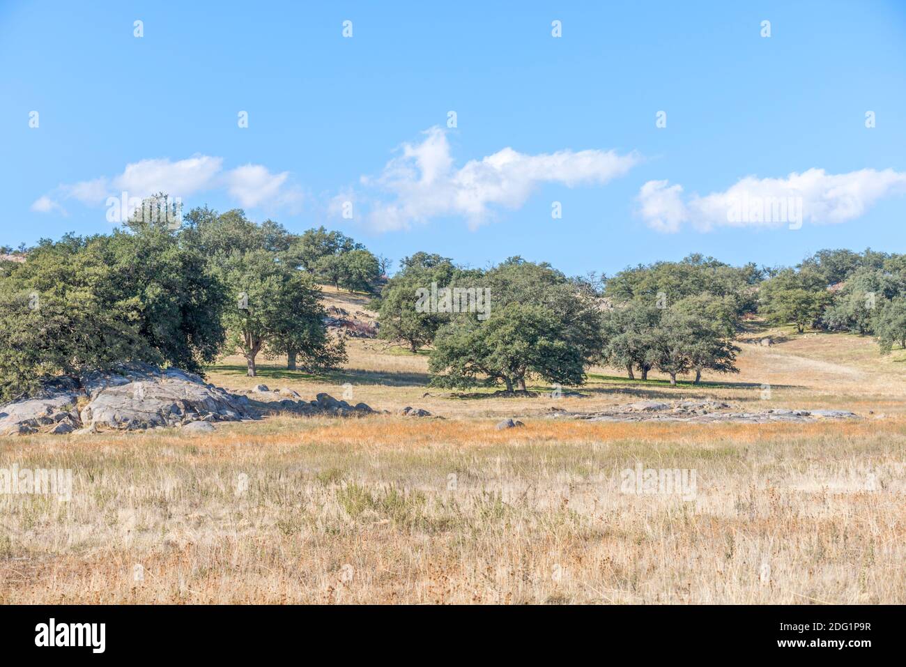 Santa Ysabel Open Space Preserve West. Ramona, CA, USA. Fotografiert im Monat November. Stockfoto