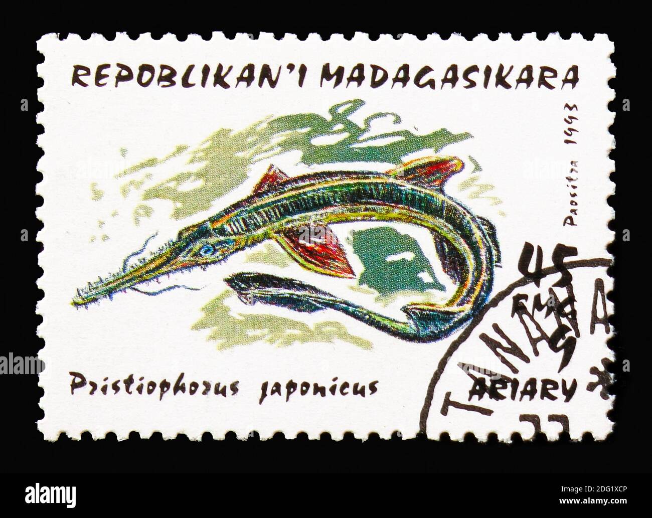 Pristiophorus japonicus Fotos und Bildmaterial in hoher Auflösung Alamy