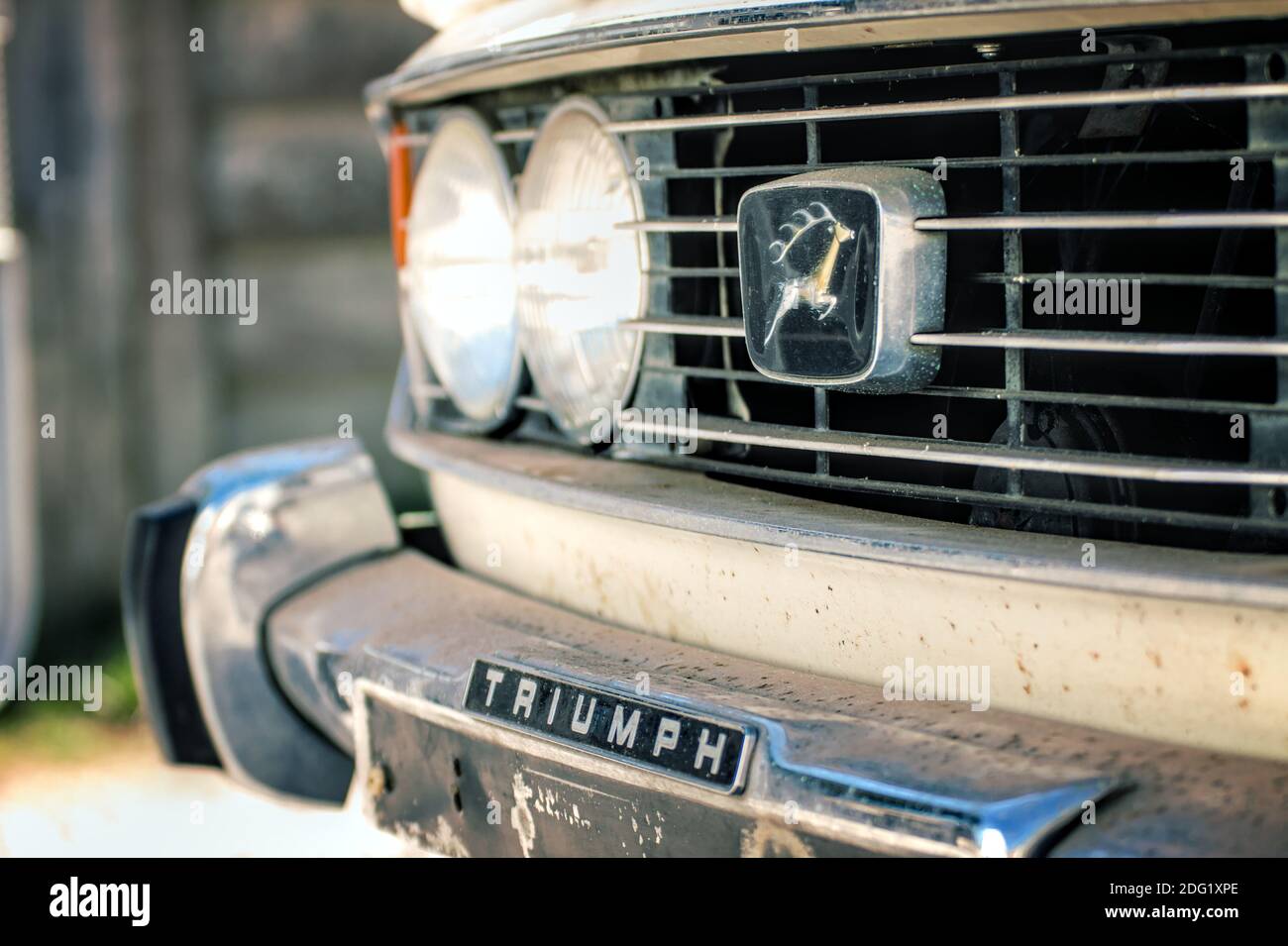 Frontgrill, Lichter und Hirsch Abzeichen eines Klassikers 70er Jahre Triumph Stag Mark 2 Sportwagen Stockfoto