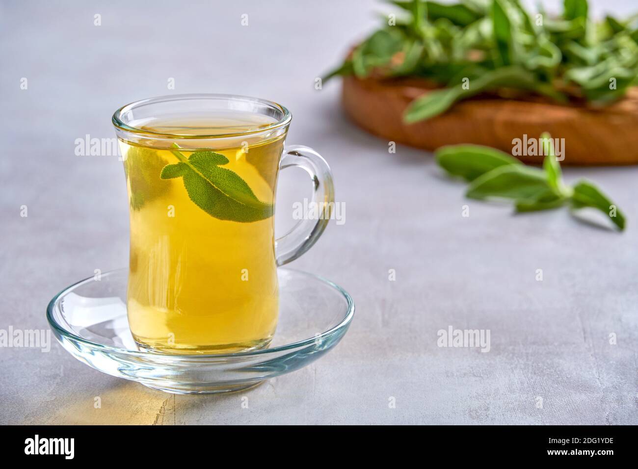 Tasse heißen Salbei Tee mit frischen Blättern, Gesundheitskonzept, Nahaufnahme Stockfoto