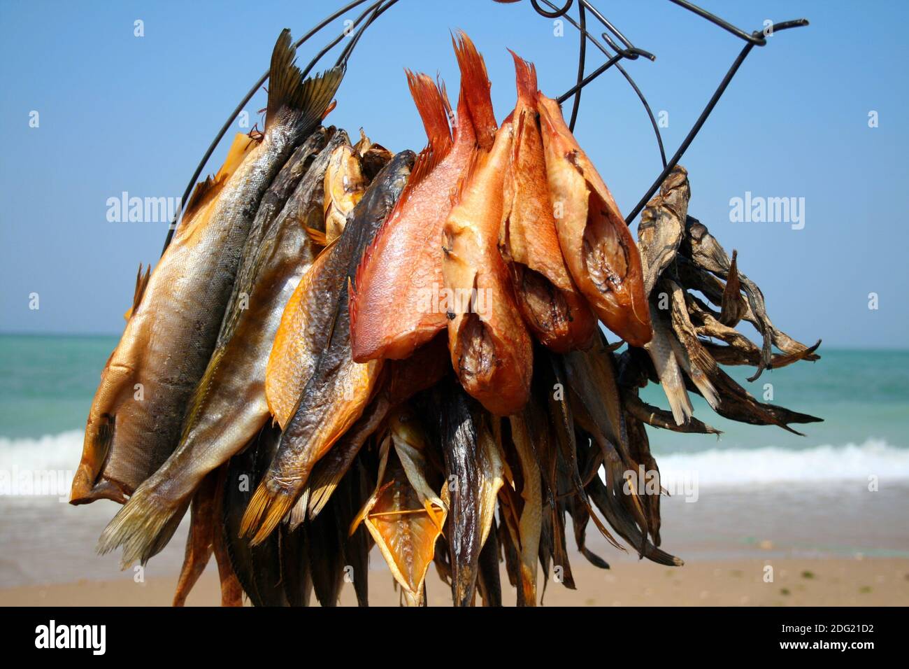 Zubereiteter Fisch (Meeresfrüchte) Stockfoto