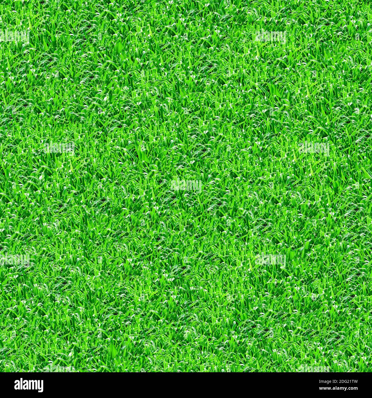 Nahtlos grün Gras Textur Hintergrund. Stockfoto