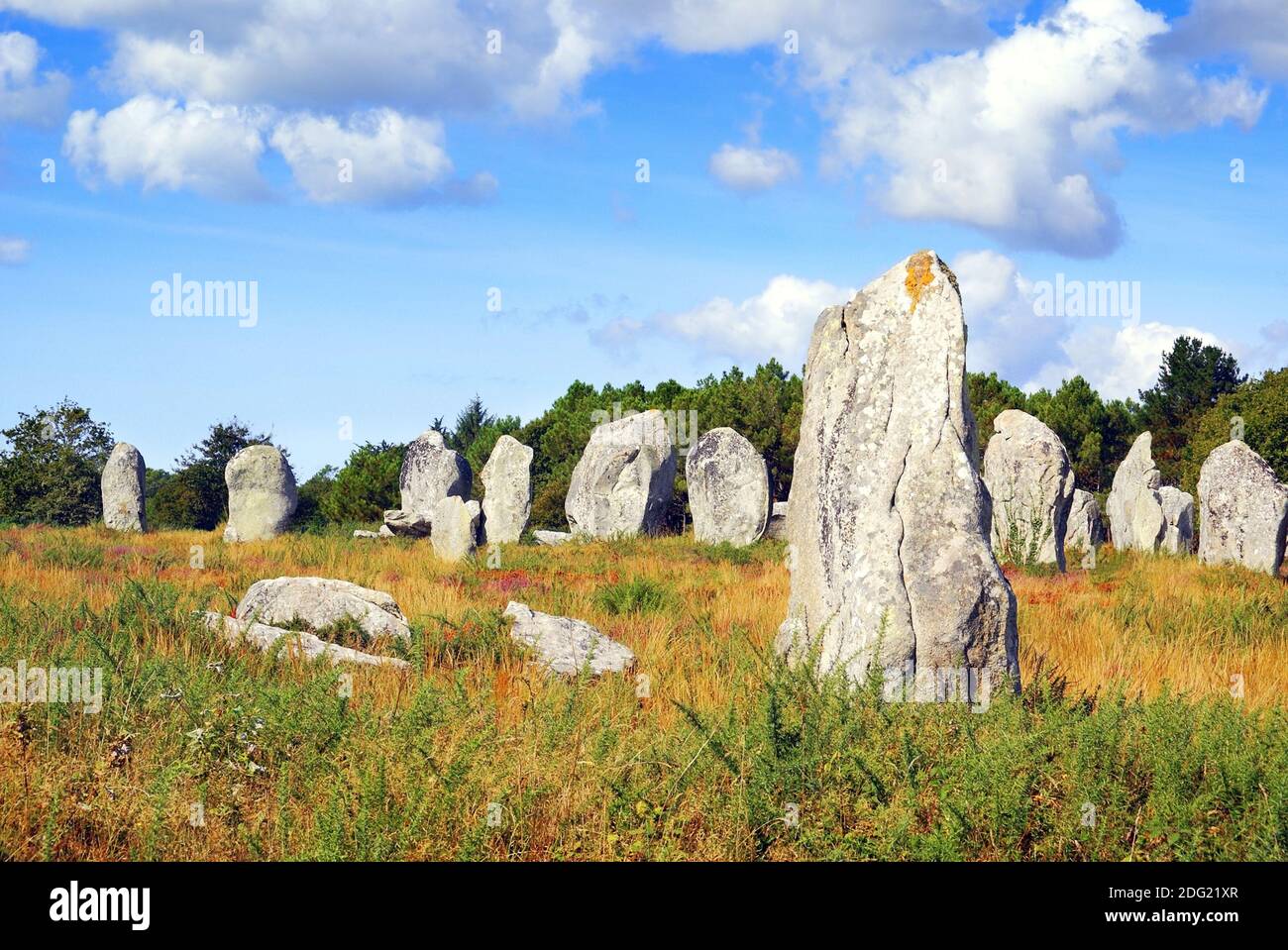 Anordnungen von Megalithen bei Carnac in der Bretagne, Frankreich. Stockfoto