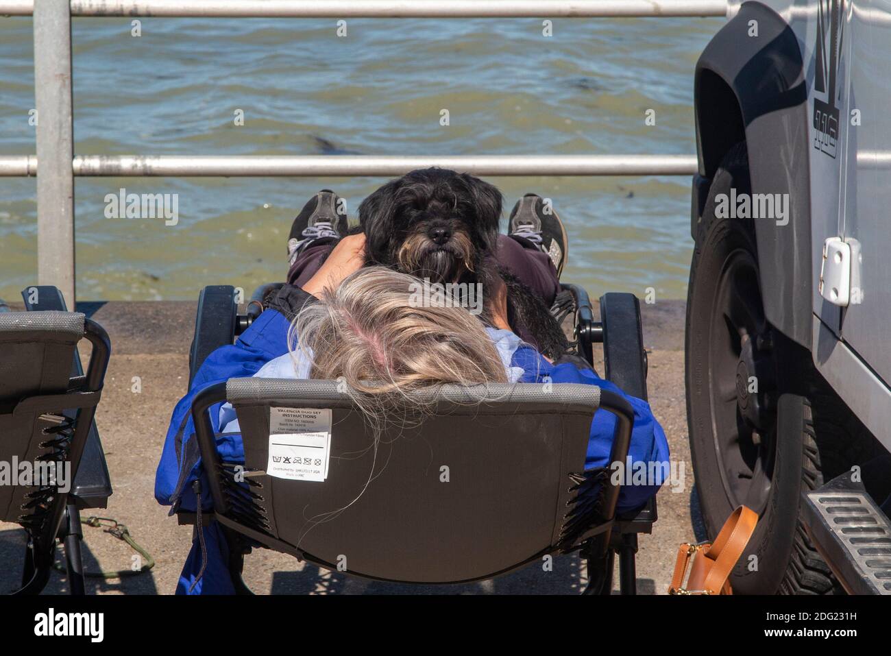 Eine Dame und ihr Hund genießen die Sonne in einem Liegestuhl an der Küste von Kent bei Margate, Thanet, England Stockfoto