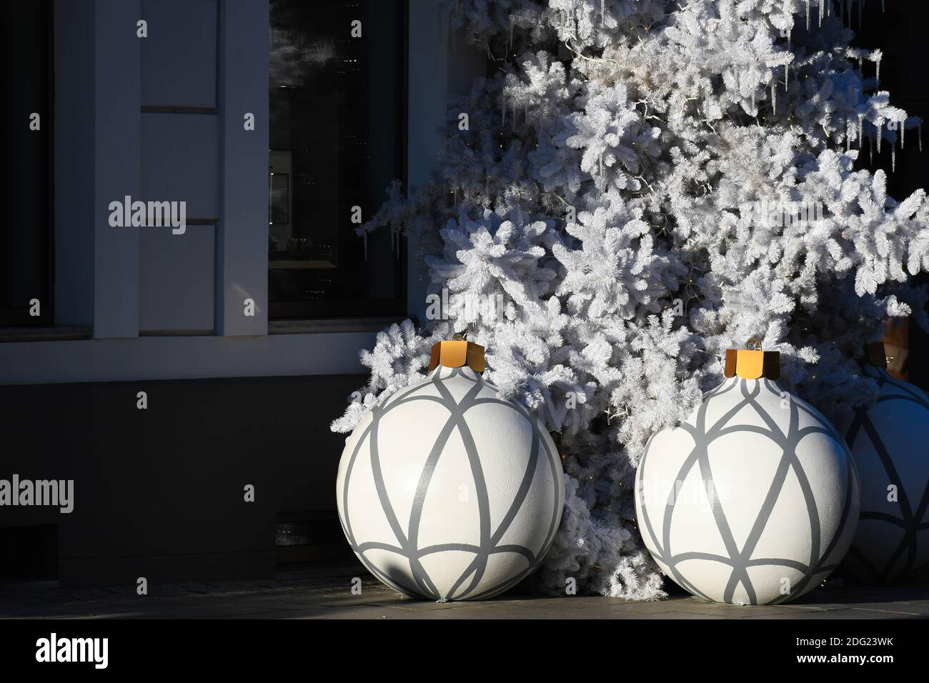 Große weihnachtliche weiße Kugeln und Zweige eines Baumes im Winter, weihnachtlicher Hintergrund, Ornamente und Dekorationen Stockfoto
