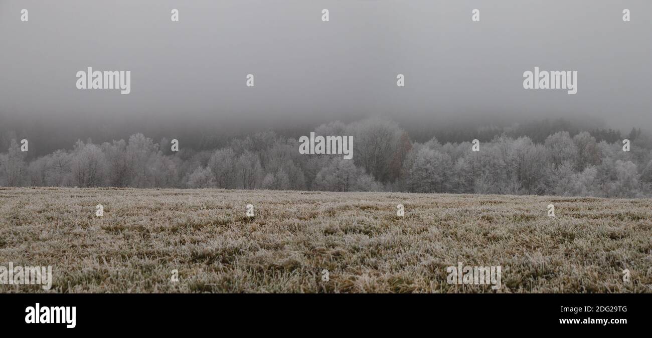 Herbstlandschaft, gefrorenes Feld und Wald im Nebel, bedeckt mit Reif Stockfoto