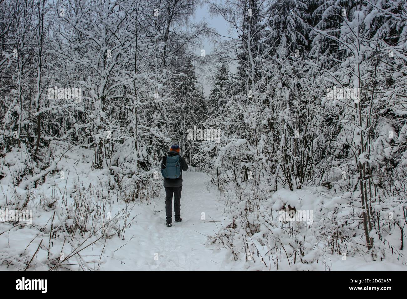 Solo Backpacker Wandern in gefrorenen verschneiten Wald.Winter Panorama-Landschaft mit Bäumen bedeckt mit Schnee, Nebel.malerische und wunderschöne Winterszene.kalt Stockfoto