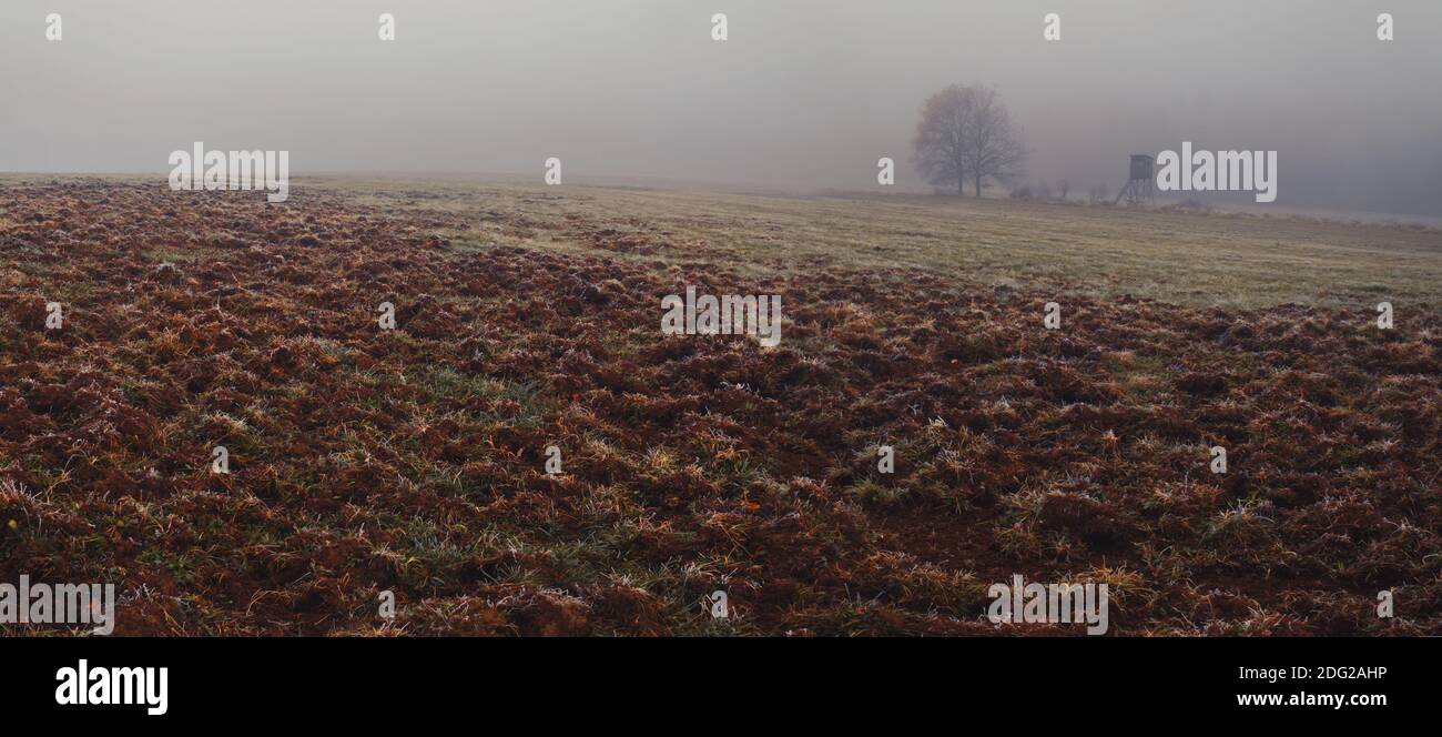 Herbstlandschaft im Nebel, Feld, Jagd blind, Bäume, Feld gepflügt von Wildschweinen Stockfoto