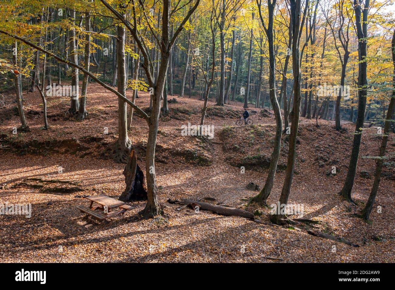 Herbstfarben im Stadtteil Sarıyer von Istanbul, Türkei Stockfoto