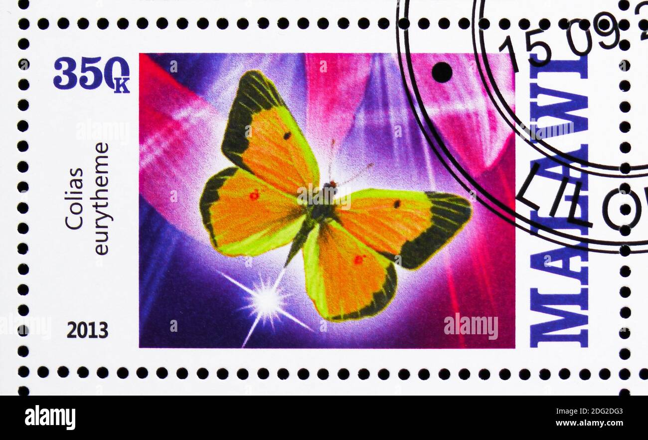 MOSKAU, RUSSLAND - 21. OKTOBER 2018: Eine in Malawi gedruckte Briefmarke zeigt Colias Eurythema, Serie, um 2013 Stockfoto