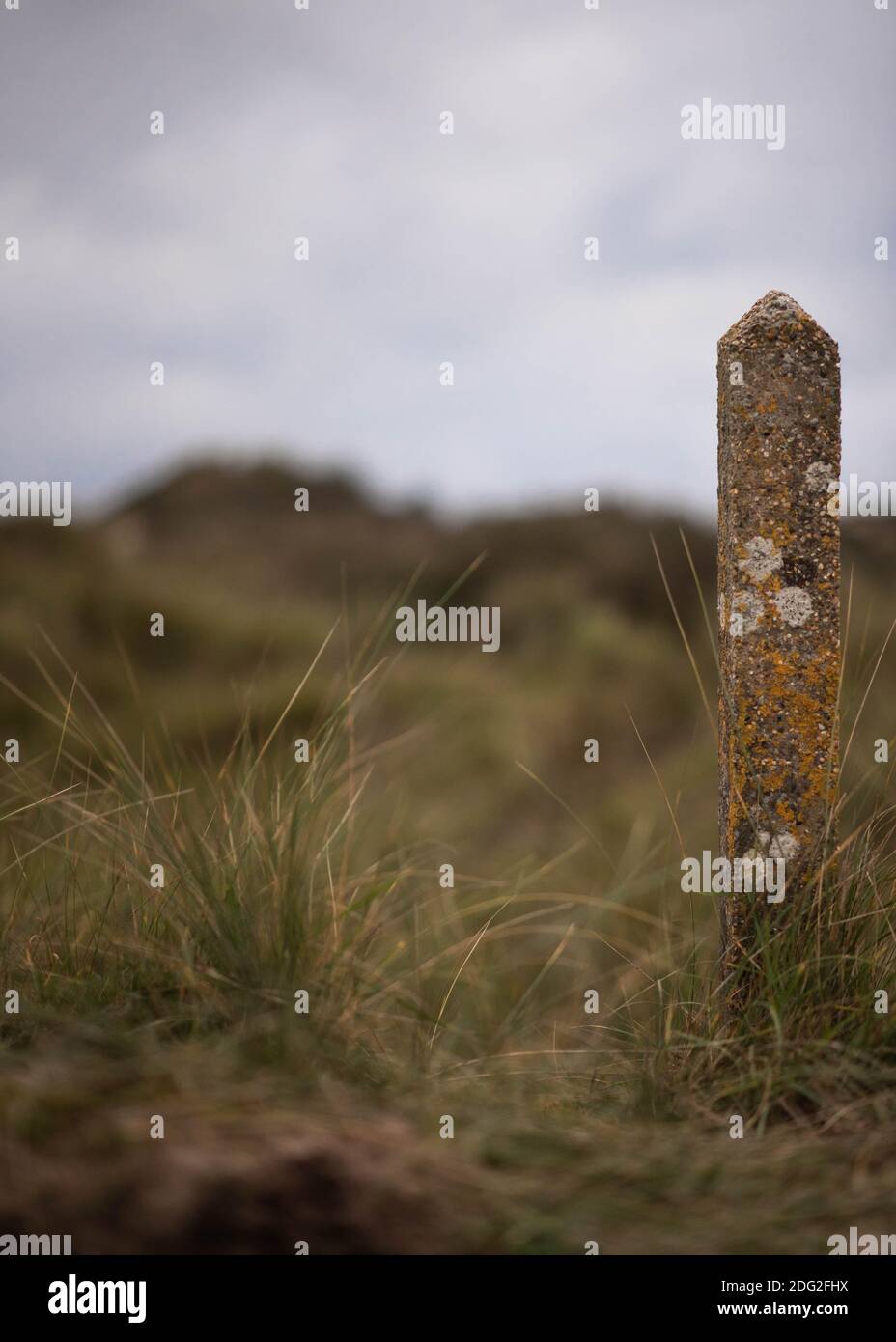 Markierung auf den Dünen bei Crow Point, Braunton Burrows im November 2020 Stockfoto