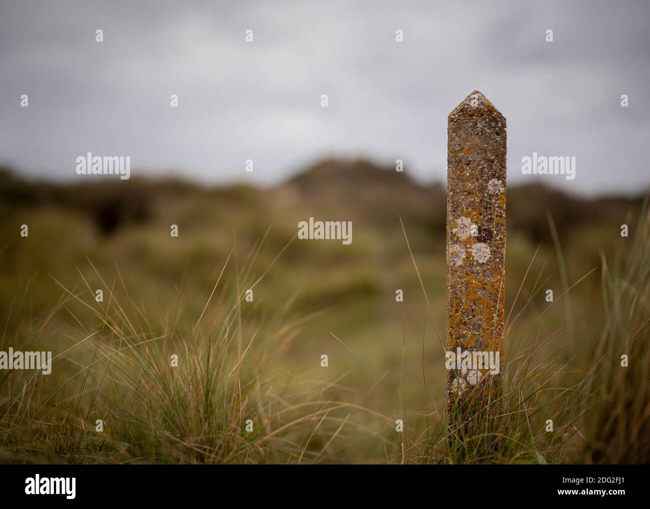 Markierung auf den Dünen bei Crow Point, Braunton Burrows im November 2020 Stockfoto