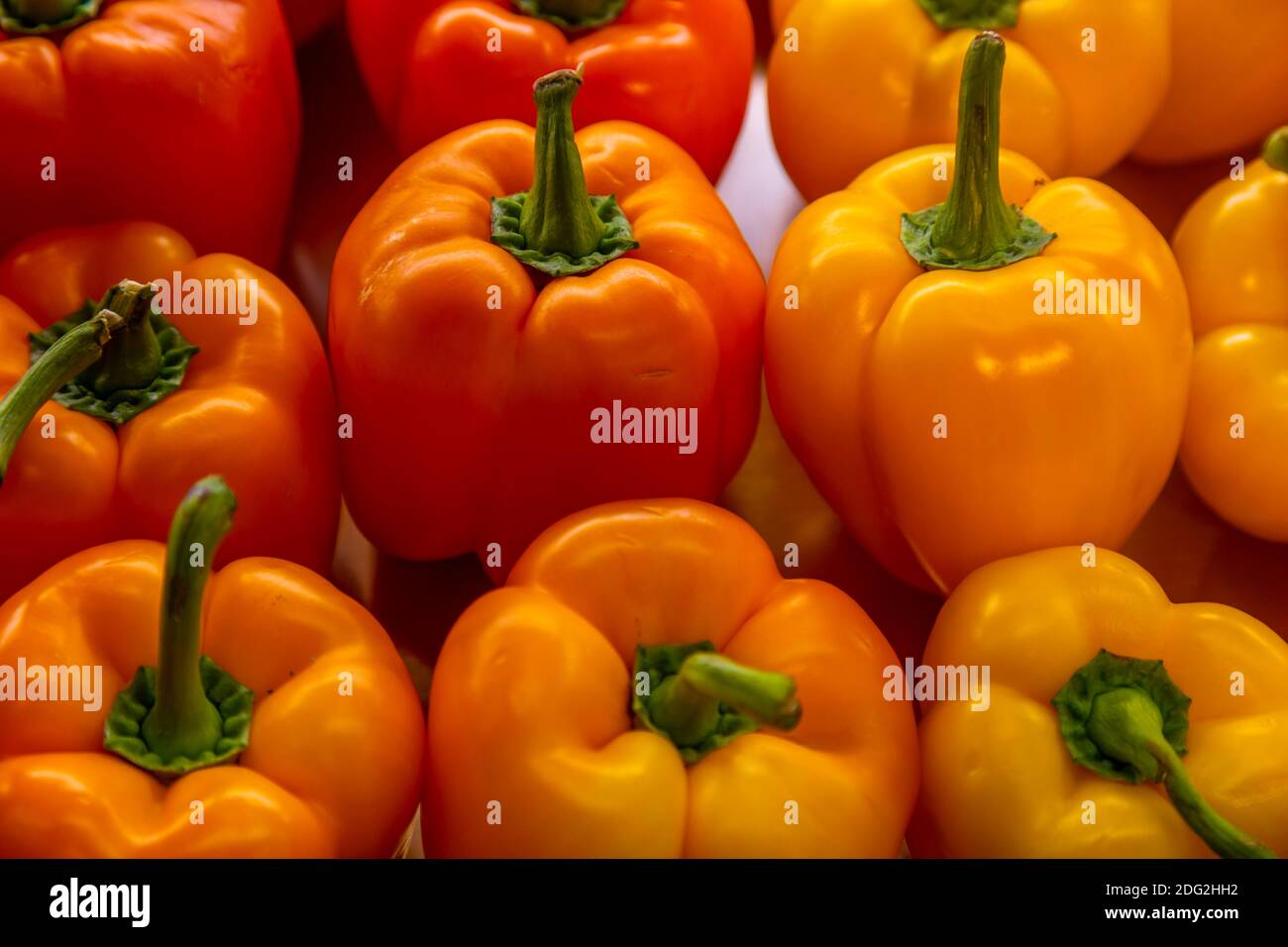 Bunte Paprika zum Verkauf angezeigt, Farm Shop, Baslow, Derbyshire, Peak District National Park, England, Vereinigtes Königreich, Europa Stockfoto