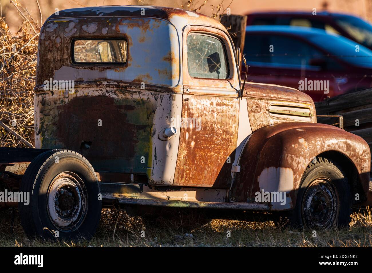 Antike Ford Pick-up-Truck in Ranch Feld; Salida; Colorado; USA Stockfoto